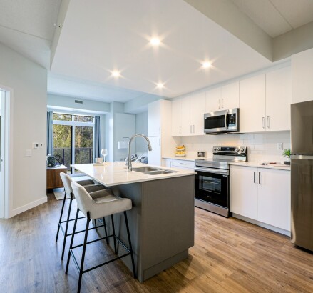 Skyline Living Silvercreek Apartments Unit 104 3 v2