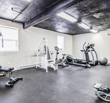 Skyline 274 Giles Blvd 16