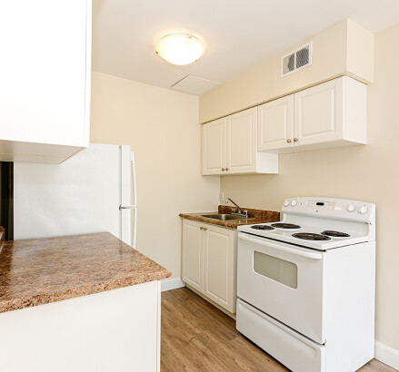 Skyliving 295LakeshoreDr NorthBay 1suite 1bed 1bath kitchen livingroom 0005