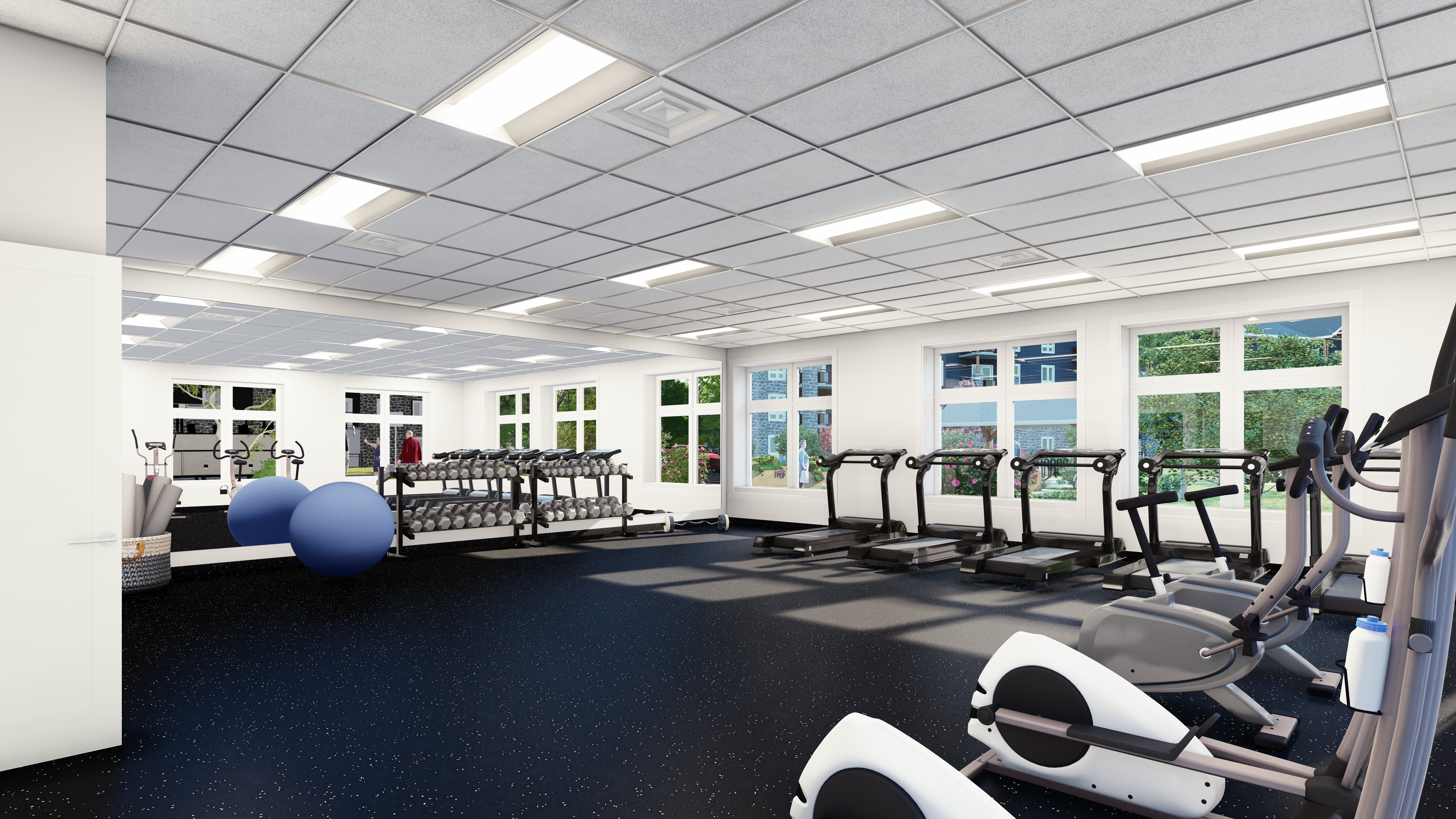 planet fitness main street belleville nj