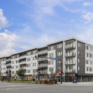 230828 Monarch 002 v4